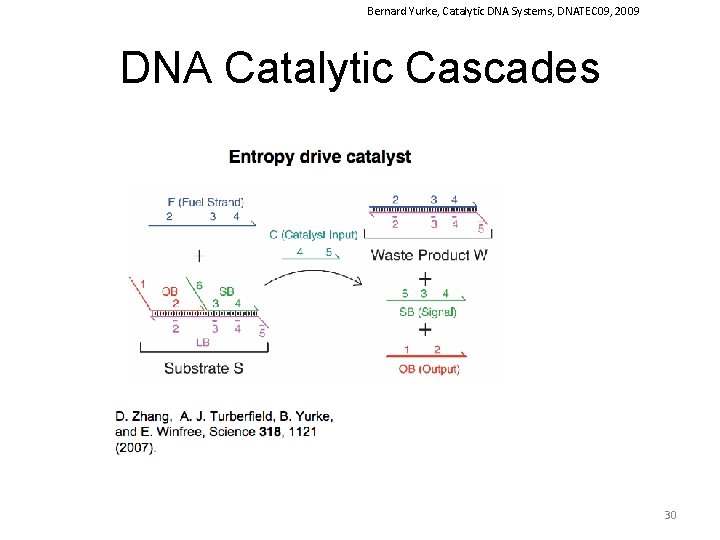 Bernard Yurke, Catalytic DNA Systems, DNATEC 09, 2009 DNA Catalytic Cascades 30 
