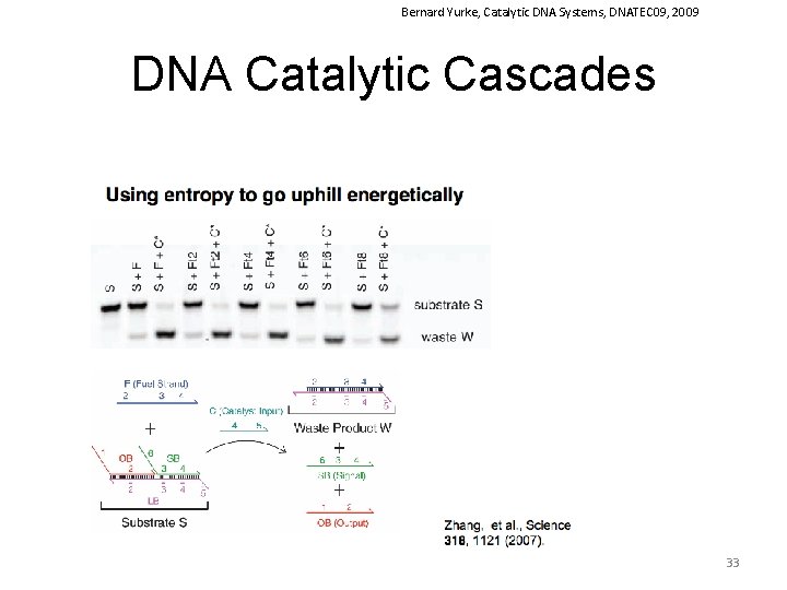 Bernard Yurke, Catalytic DNA Systems, DNATEC 09, 2009 DNA Catalytic Cascades 33 