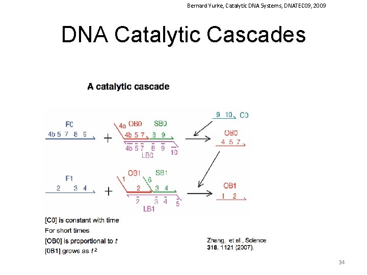 Bernard Yurke, Catalytic DNA Systems, DNATEC 09, 2009 DNA Catalytic Cascades 34 