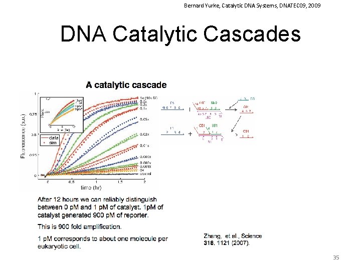 Bernard Yurke, Catalytic DNA Systems, DNATEC 09, 2009 DNA Catalytic Cascades 35 
