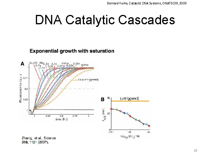 Bernard Yurke, Catalytic DNA Systems, DNATEC 09, 2009 DNA Catalytic Cascades 37 