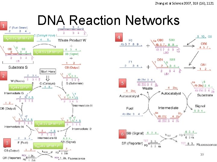 Zhang et al Science 2007, 318 (16), 1121 DNA Reaction Networks 1 4 k