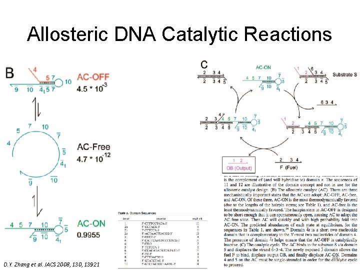 Allosteric DNA Catalytic Reactions D. Y. Zhang et al. JACS 2008, 130, 13921 44