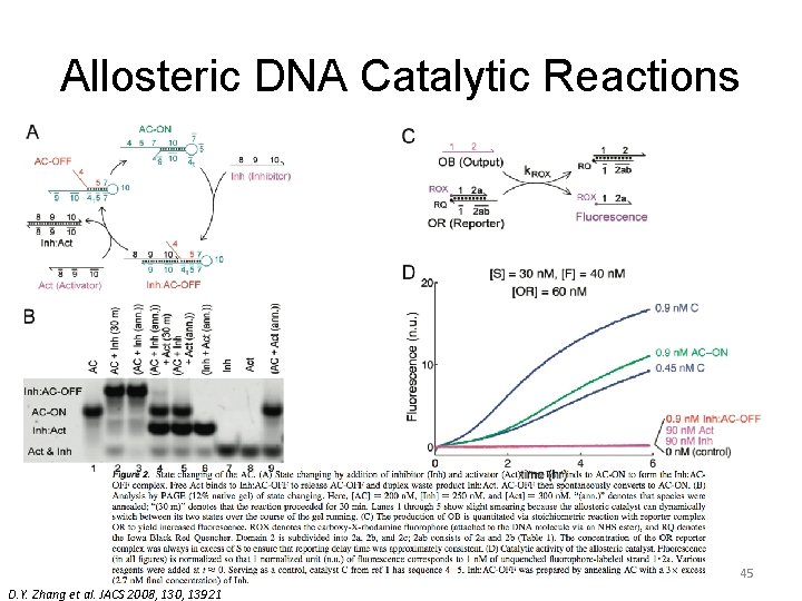 Allosteric DNA Catalytic Reactions 45 D. Y. Zhang et al. JACS 2008, 130, 13921