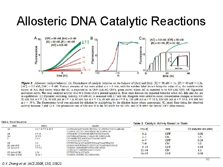 Allosteric DNA Catalytic Reactions D. Y. Zhang et al. JACS 2008, 130, 13921 46