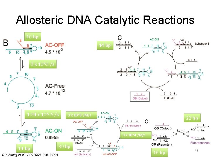 Allosteric DNA Catalytic Reactions 10 bp 44 bp 3 x 10^3 /s 1. 54