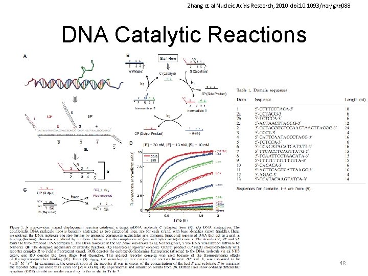 Zhang et al Nucleic Acids Research, 2010 doi: 10. 1093/nar/gkq 088 DNA Catalytic Reactions