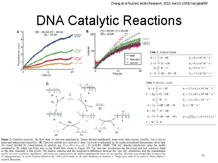 Zhang et al Nucleic Acids Research, 2010 doi: 10. 1093/nar/gkq 088 DNA Catalytic Reactions