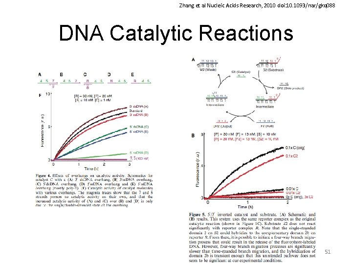 Zhang et al Nucleic Acids Research, 2010 doi: 10. 1093/nar/gkq 088 DNA Catalytic Reactions