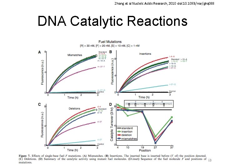 Zhang et al Nucleic Acids Research, 2010 doi: 10. 1093/nar/gkq 088 DNA Catalytic Reactions