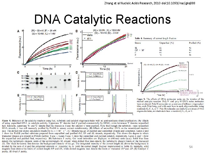 Zhang et al Nucleic Acids Research, 2010 doi: 10. 1093/nar/gkq 088 DNA Catalytic Reactions