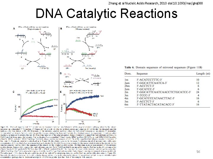 Zhang et al Nucleic Acids Research, 2010 doi: 10. 1093/nar/gkq 088 DNA Catalytic Reactions