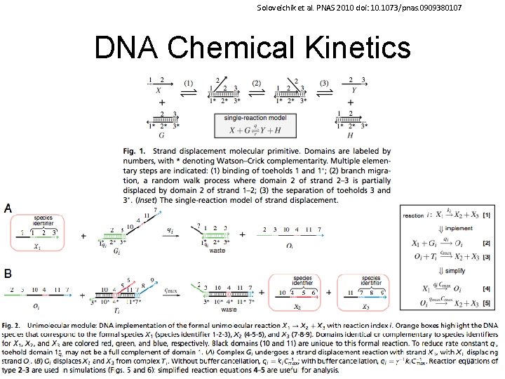 Soloveichik et al. PNAS 2010 doi: 10. 1073/pnas. 0909380107 DNA Chemical Kinetics 57 