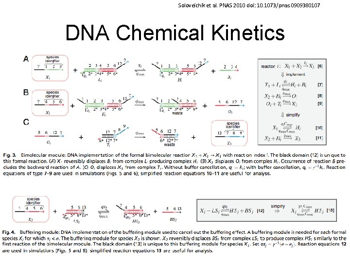 Soloveichik et al. PNAS 2010 doi: 10. 1073/pnas. 0909380107 DNA Chemical Kinetics 58 