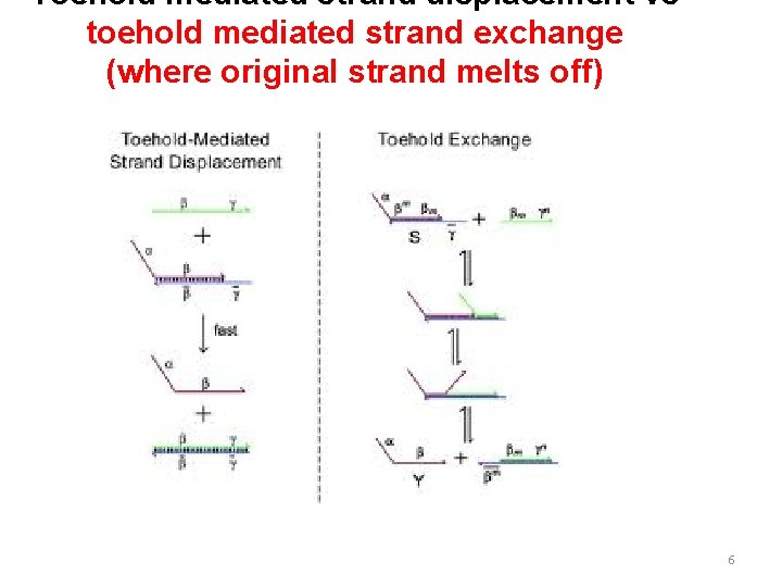 Toehold mediated strand displacement vs toehold mediated strand exchange (where original strand melts off)