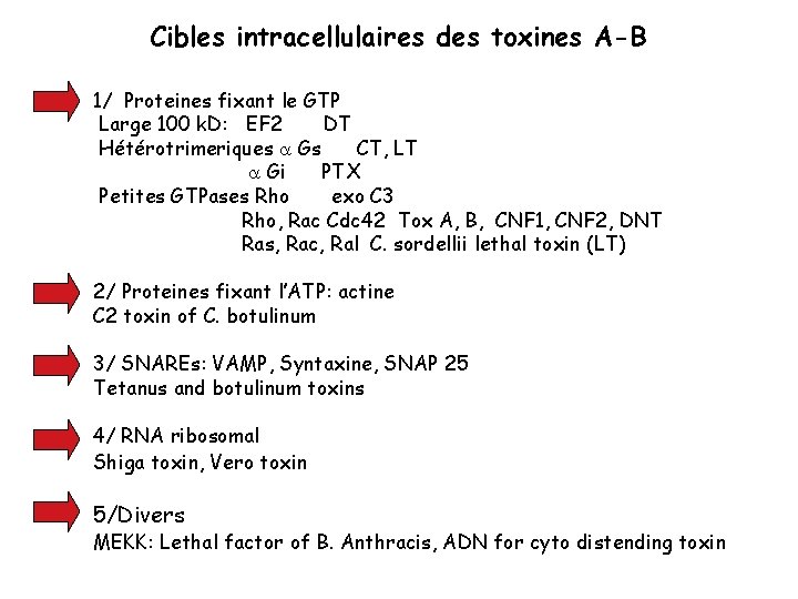 Cibles intracellulaires des toxines A-B 1/ Proteines fixant le GTP Large 100 k. D: