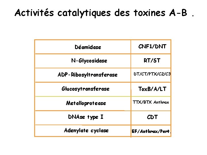 Activités catalytiques des toxines A-B. Déamidase CNF 1/DNT N-Glycosidase RT/ST ADP-Ribosyltransferase Glucosytransferase Metalloprotease DT/CT/PTX/C