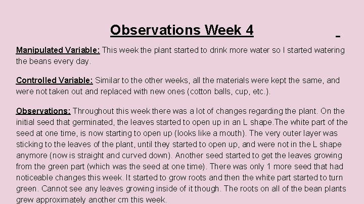 Observations Week 4 Manipulated Variable: This week the plant started to drink more water