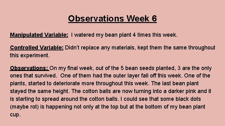 Observations Week 6 Manipulated Variable: I watered my bean plant 4 times this week.