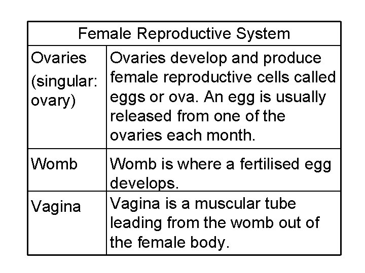 Female Reproductive System Ovaries develop and produce (singular: female reproductive cells called eggs or