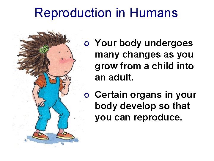 Reproduction in Humans o Your body undergoes many changes as you grow from a