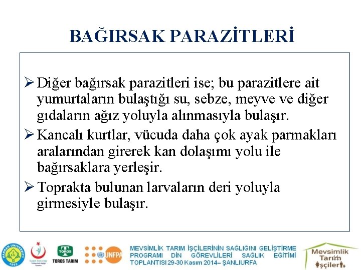 BAĞIRSAK PARAZİTLERİ Ø Diğer bağırsak parazitleri ise; bu parazitlere ait yumurtaların bulaştığı su, sebze,