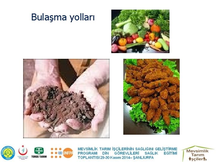 Bulaşma yolları 