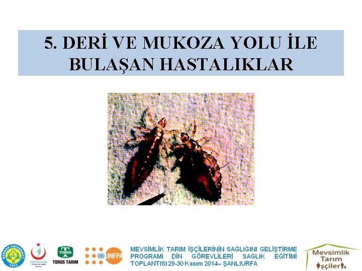 5. DERİ VE MUKOZA YOLU İLE BULAŞAN HASTALIKLAR 