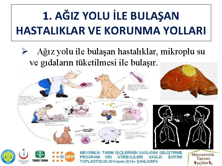 1. AĞIZ YOLU İLE BULAŞAN HASTALIKLAR VE KORUNMA YOLLARI Ø Ağız yolu ile bulaşan