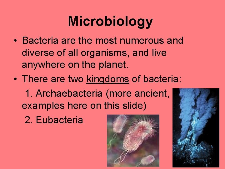 Microbiology • Bacteria are the most numerous and diverse of all organisms, and live