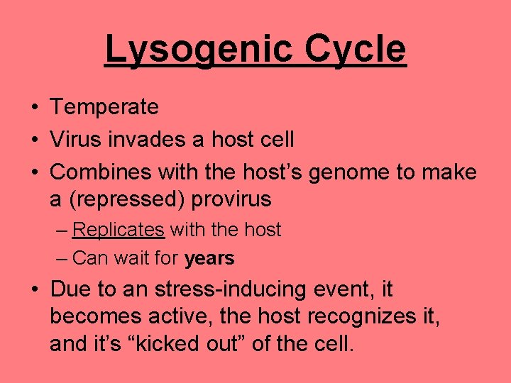 Lysogenic Cycle • Temperate • Virus invades a host cell • Combines with the
