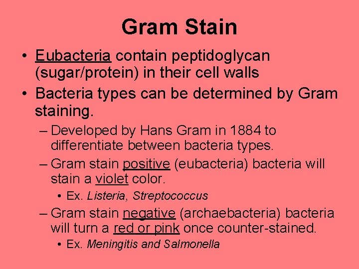 Gram Stain • Eubacteria contain peptidoglycan (sugar/protein) in their cell walls • Bacteria types