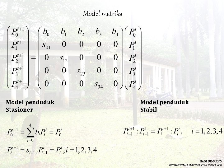 Model matriks Model penduduk Stasioner Model penduduk Stabil HADI SUMARNO DEPARTEMEN MATEMATIKA FMIPA IPB