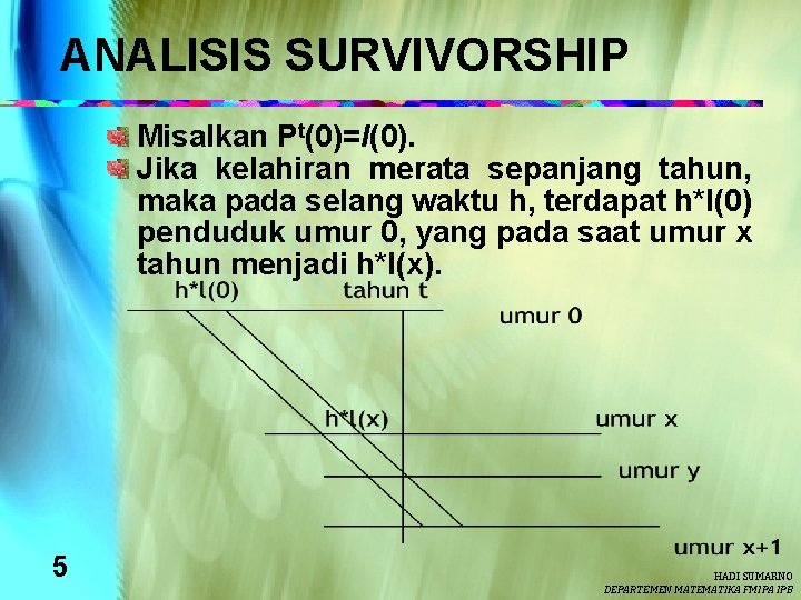 ANALISIS SURVIVORSHIP Misalkan Pt(0)=l(0). Jika kelahiran merata sepanjang tahun, maka pada selang waktu h,