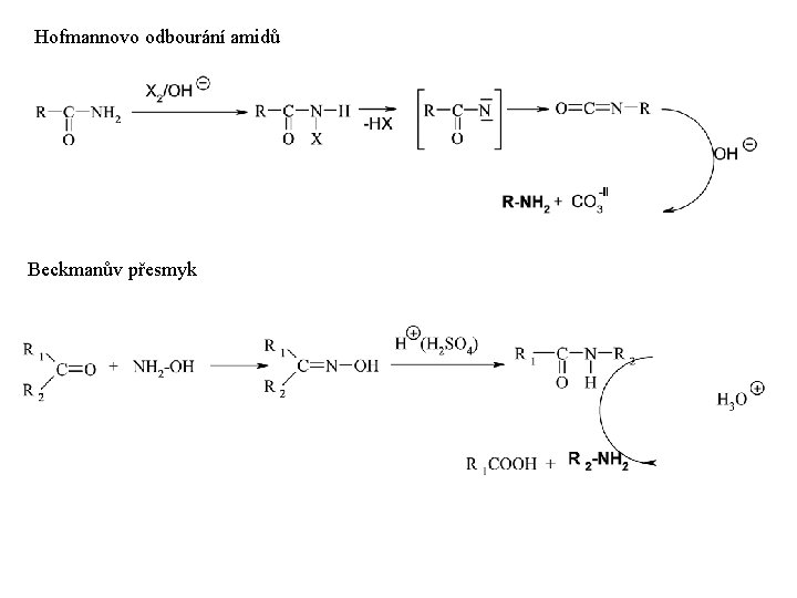 Hofmannovo odbourání amidů Beckmanův přesmyk 