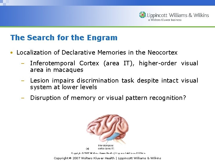 The Search for the Engram • Localization of Declarative Memories in the Neocortex –