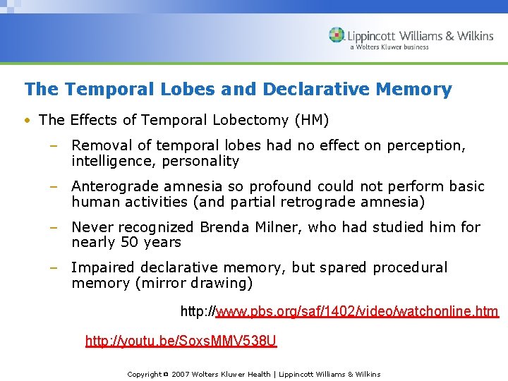 The Temporal Lobes and Declarative Memory • The Effects of Temporal Lobectomy (HM) –