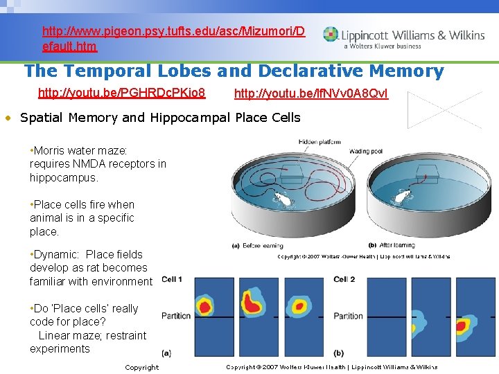 http: //www. pigeon. psy. tufts. edu/asc/Mizumori/D efault. htm The Temporal Lobes and Declarative Memory