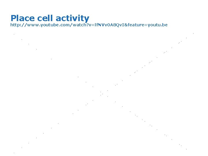 Place cell activity http: //www. youtube. com/watch? v=lf. NVv 0 A 8 Qv. I&feature=youtu.