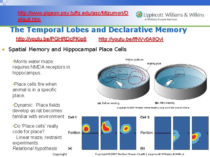 http: //www. pigeon. psy. tufts. edu/asc/Mizumori/D efault. htm The Temporal Lobes and Declarative Memory