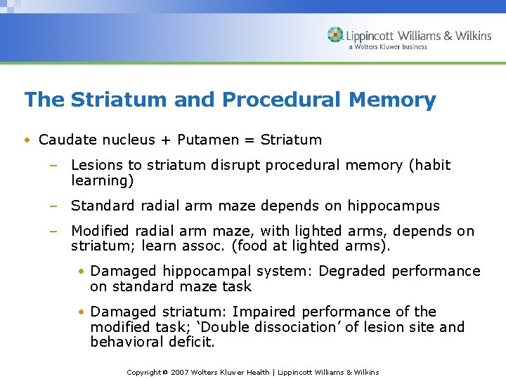 The Striatum and Procedural Memory • Caudate nucleus + Putamen = Striatum – Lesions