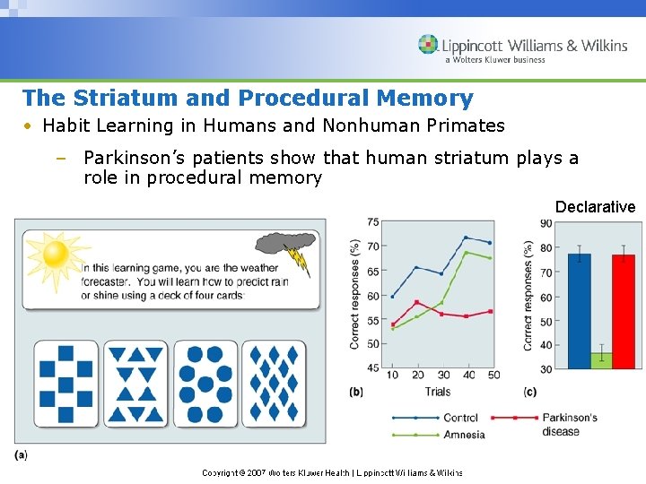 The Striatum and Procedural Memory • Habit Learning in Humans and Nonhuman Primates –