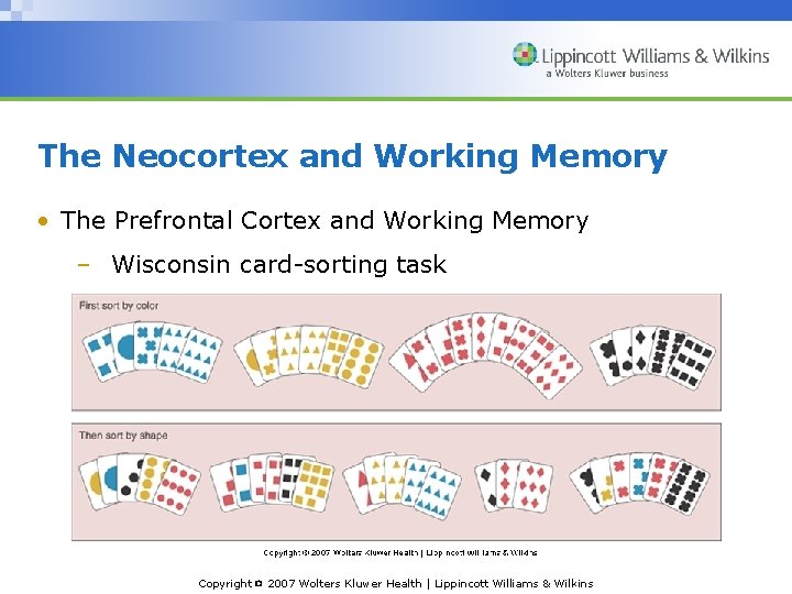 The Neocortex and Working Memory • The Prefrontal Cortex and Working Memory – Wisconsin