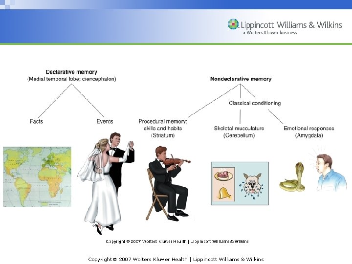 Copyright © 2007 Wolters Kluwer Health | Lippincott Williams & Wilkins 