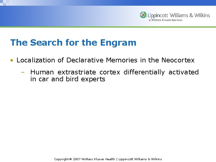 The Search for the Engram • Localization of Declarative Memories in the Neocortex –