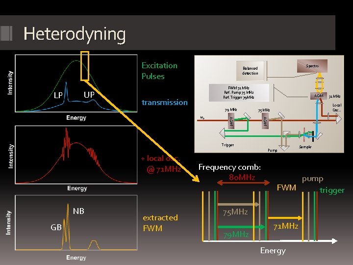 Heterodyning Excitation Pulses LP UP Spectro Balanced detection FWM 71 MHz Ref. Pump 75