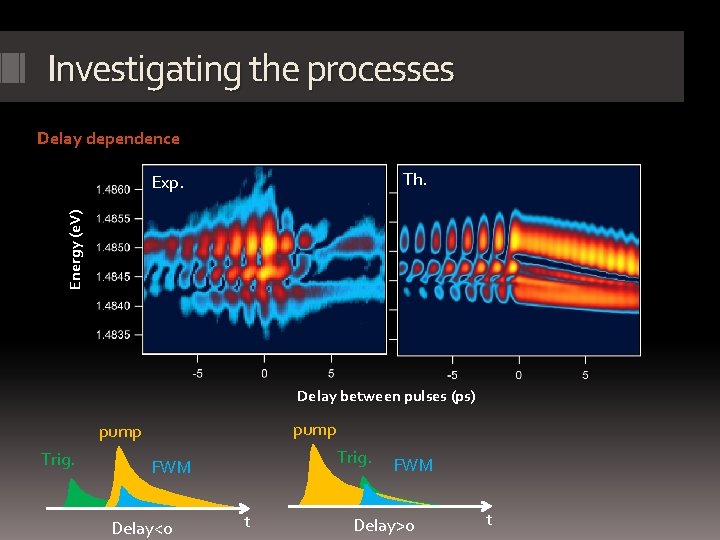 Investigating the processes Delay dependence Th. Energy (e. V) Exp. Delay between pulses (ps)