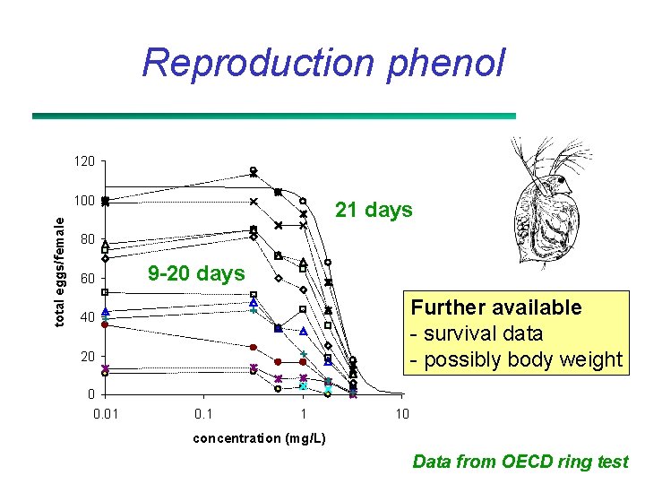 Reproduction phenol 120 total eggs/female 100 21 days 80 60 9 -20 days Further