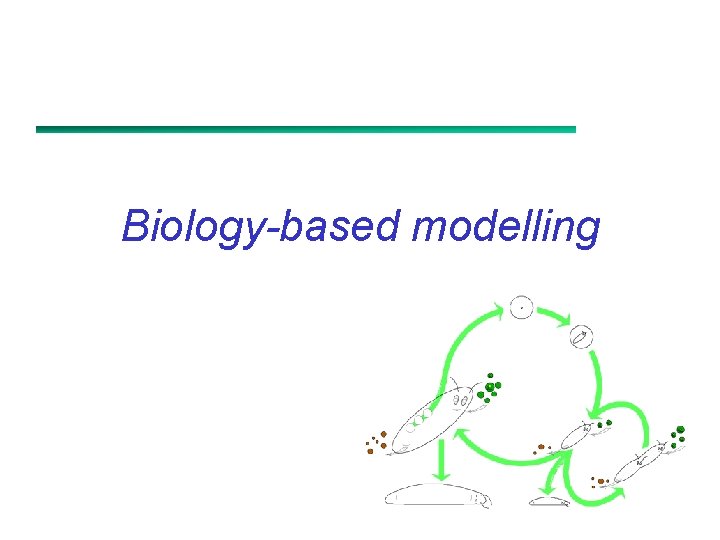 Biology-based modelling 