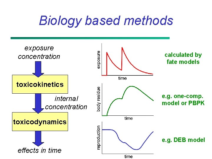 Biology based methods exposure concentration calculated by fate models toxicokinetics internal concentration e. g.